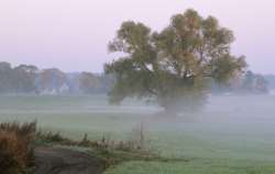 Krutyń