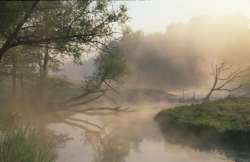Krutynia rankiem
